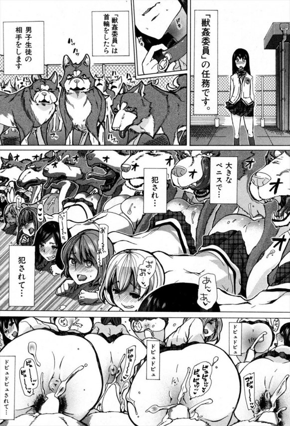 【エロ漫画】獣姦委員という制度がある学校で規格外のサイズで犯されるJK！【チキコ エロ同人】 (17)
